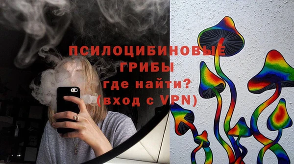 прущие грибы Белоозёрский