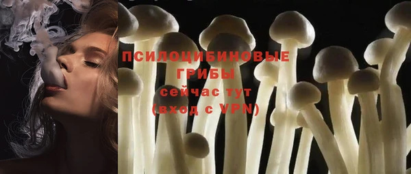 спайс Беломорск