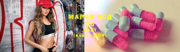 прущие грибы Белоозёрский