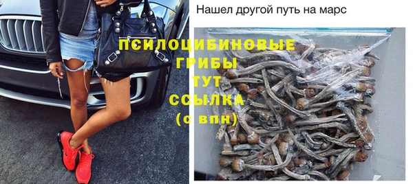 прущие грибы Белоозёрский