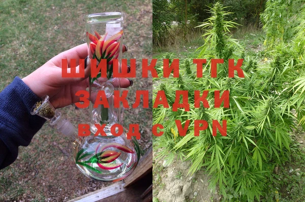 прущие грибы Белоозёрский