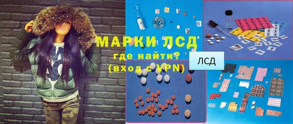 прущие грибы Белоозёрский