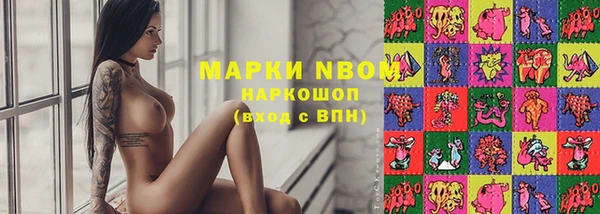 прущие грибы Белоозёрский