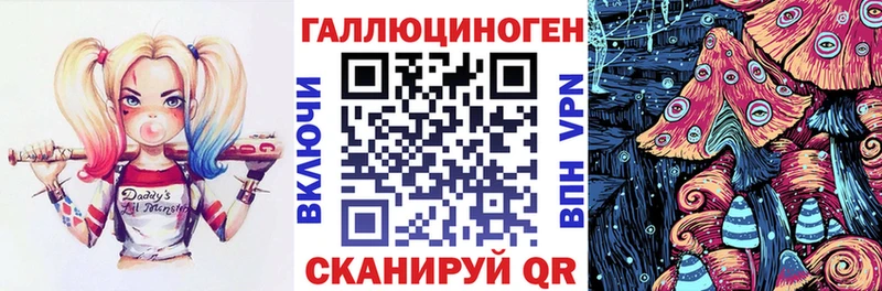 Псилоцибиновые грибы прущие грибы  Будённовск 